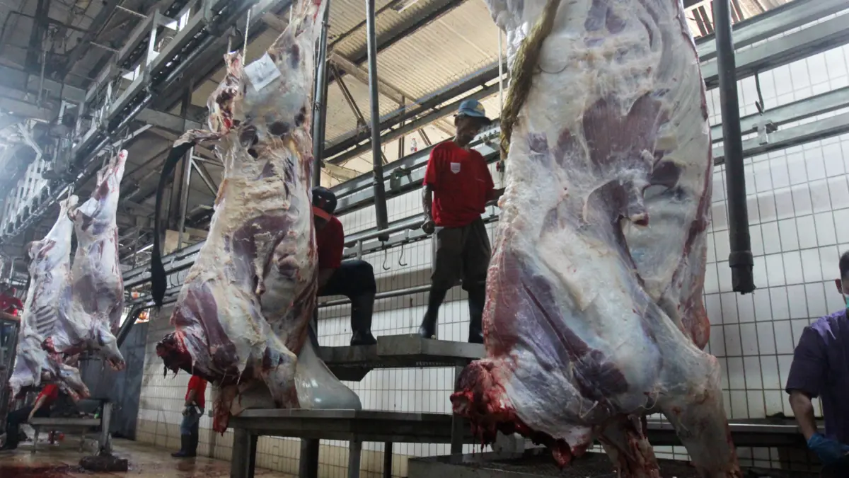 Harga Daging Sapi di Surabaya tembus Rp 150 Ribu per Kg, RPH Jamin Stok Aman