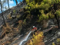 Korban Meninggal Insiden Pemadaman Karhutla Bromo Bertambah Jadi 4 Orang