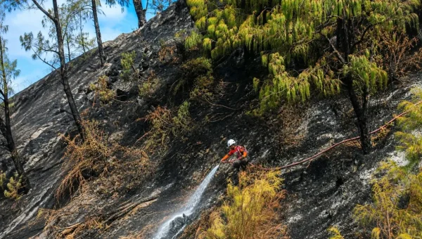 Korban Meninggal Insiden Pemadaman Karhutla Bromo Bertambah Jadi 4 Orang