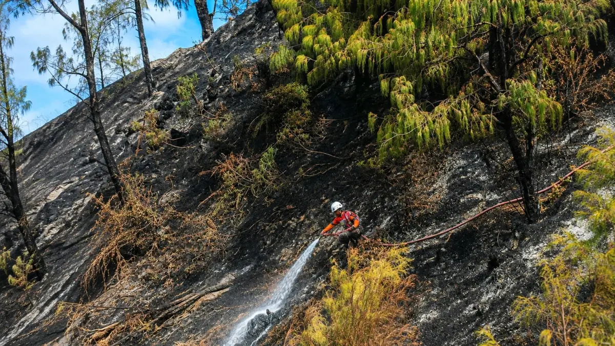 Korban Meninggal Insiden Pemadaman Karhutla Bromo Bertambah Jadi 4 Orang