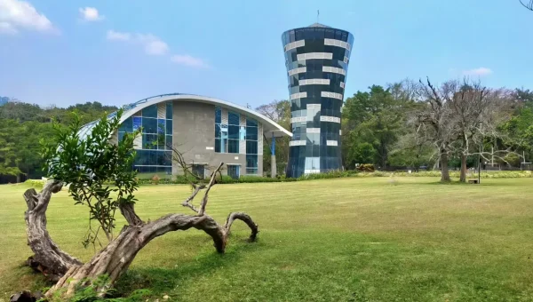 Kebun Raya Purwodadi, Wisata Edukasi Anak yang Bikin Belajar Tanaman Lebih Seru