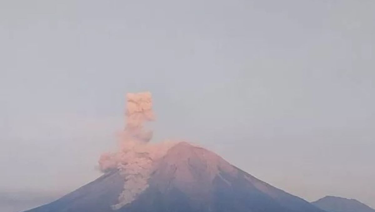 Kebakaran di Blok Ranu Kembang, TNBTS Tutup Total Pendakian Gunung Semeru