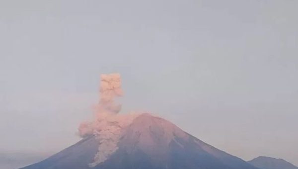 Kebakaran di Blok Ranu Kembang, TNBTS Tutup Total Pendakian Gunung Semeru