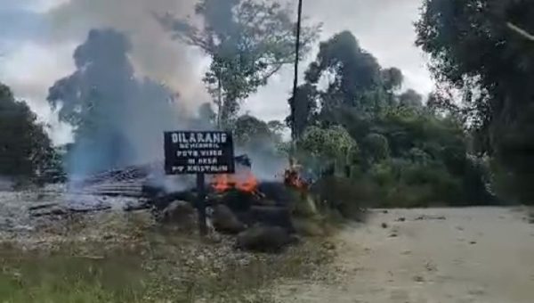 Mantan Prajurit Tempur TNI Sebut Pembebasan 9 Sandera dari KKB Butuh Kemampuan Tingkat Tinggi