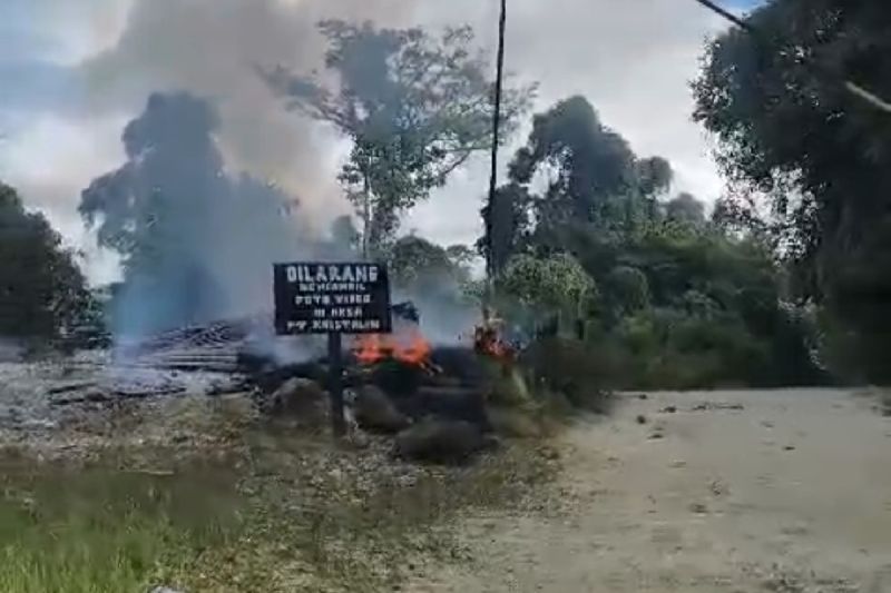 Mantan Prajurit Tempur TNI Sebut Pembebasan 9 Sandera dari KKB Butuh Kemampuan Tingkat Tinggi