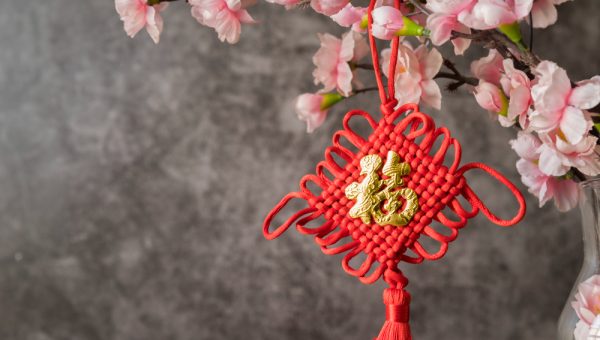 6 Shio yang Konon Jadi Magnet Rezeki, Peluang Emas Disebut Datang Silih Berganti
