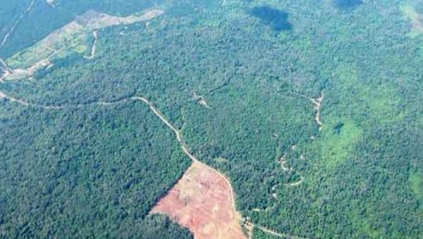Indonesia Berupaya Membangun Kepercayaan Dunia dalam Menghadapi Tantangan Perubahan Iklim