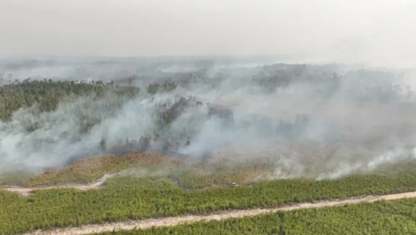 Kemenhut Soroti 10 Persen Pemegang Konsesi Masih Tak Tertib Laporkan Kesiapan Karhutla