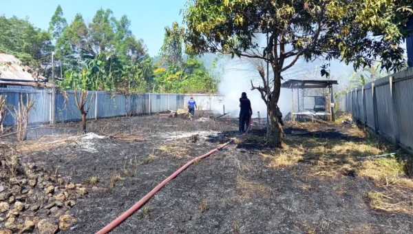 350 Personel Gabungan Bergiliran Padamkan Karhutla di Nabire Papua Tengah