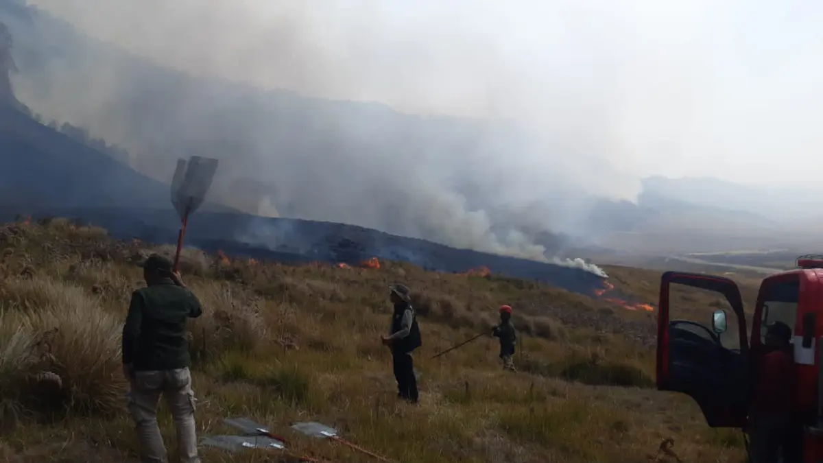 Karhutla Bromo Bikin Jip Wisata Malang Harus Memutar Lewat Pasuruan